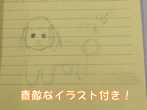中学校へ模擬授業に行ってきました！